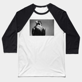 Peregrine Falcon Black and White Baseball T-Shirt